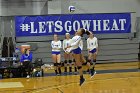 Volleyball vs Emerson  Wheaton College Women's Volleyball vs Emerson College. - Photo by Keith Nordstrom : Wheaton, Volleyball, VB2019